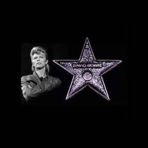 💥Bundle 3 for $25💥 David Bowie Black Star Pin